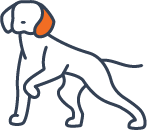 Python Cowboy Hunts Python Cowboy - Ultra HD Minimal Patterns for Desktop