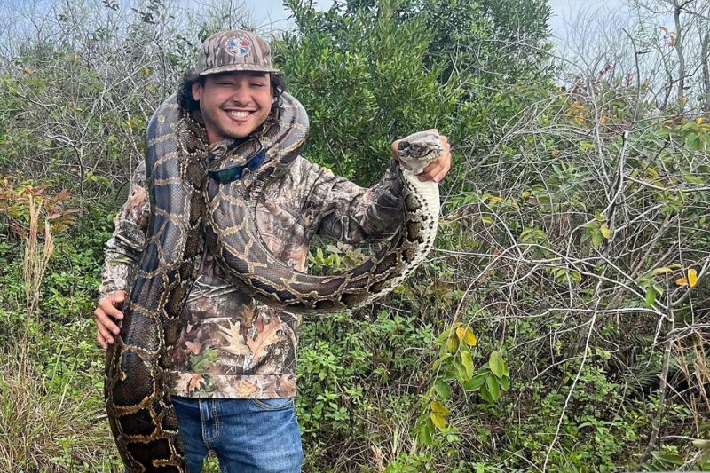 Hunting Pythons On Python Island With The Python Cowboy Part 2 Youtube - Elegant Landscape Photo - Desktop