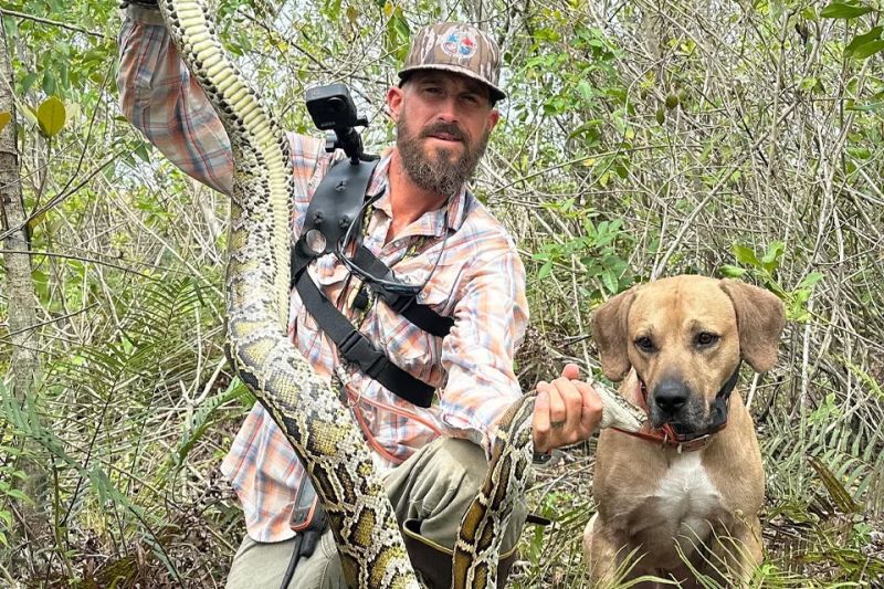 Python Hunting In Florida Python Snake Youtube - Download Premium Landscape Design | High Resolution