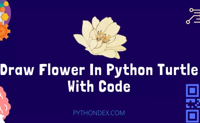 Draw Flower In Python Turtle With Code - Pythondex