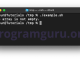 Bash Check If Array Is Empty