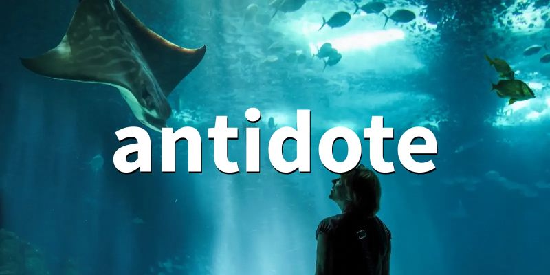 Antidote 2 0 Github - Premium Mountain Background Gallery - 4K