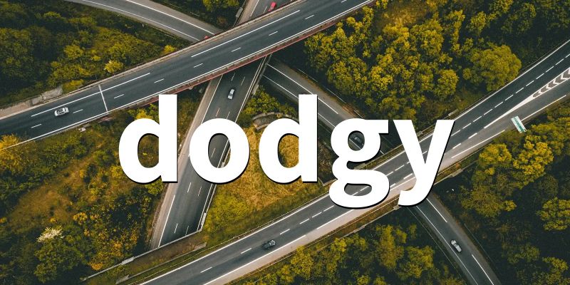 Dodgy - Elegant Light Background - Retina