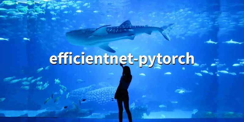 Pytorch Efficientnet Torch Efficient Csdn - Stunning HD Landscape Arts | Free Download