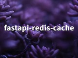 Fastapi Redis Cache 0 2 5 A Simple And Robust Caching Solution For