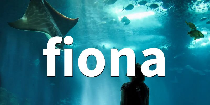 Install Fiona In Python For Gis Data - Professional Desktop Light Images | Free Download