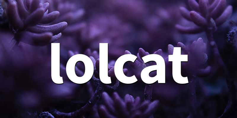 Lolcat File Moddb - 4K Landscape Patterns for Desktop