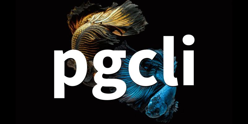 Pgcli 4 1 0 Cli For Postgres Database With Auto Completion And - Best Light Wallpapers in Full HD