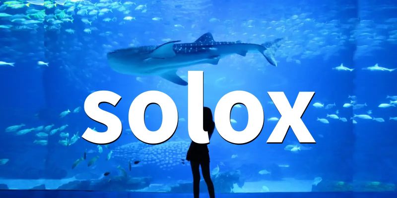 Home Five Solox - Best Nature Textures in 4K