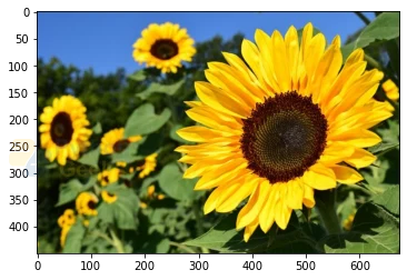 Opencv Python Medianblur - Premium Dark Image Gallery - Mobile