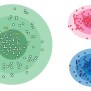 Clustering In Machine Learning - Python Geeks