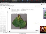Python Opencv Leaf Disease Detection Safeguard Your Green Haven