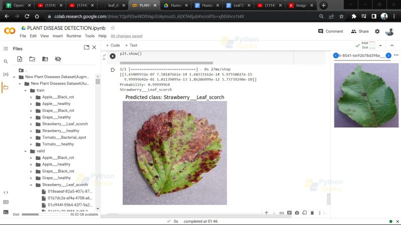 Plant Leaf Using Python Computer Languages Clcoding - Dark Background Collection - High Resolution Quality