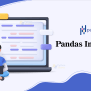 Python Pandas - An Introduction - Python Geeks