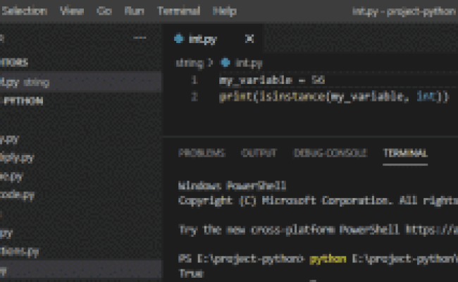 Python Check If A Variable Is An Integer - Python Guides