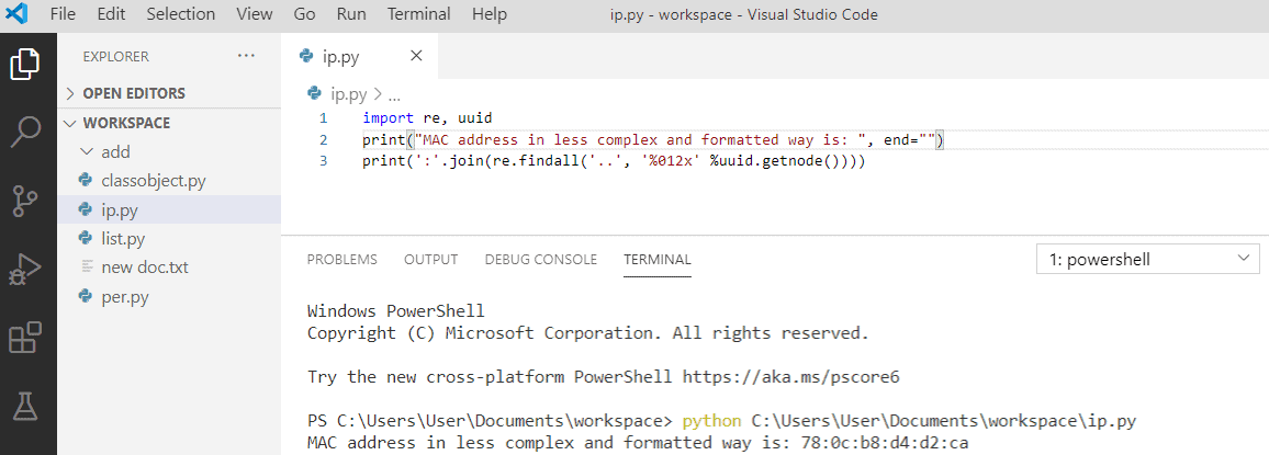 How To Get An IP From A URL In Python? [+5 Examples] - Python Guides