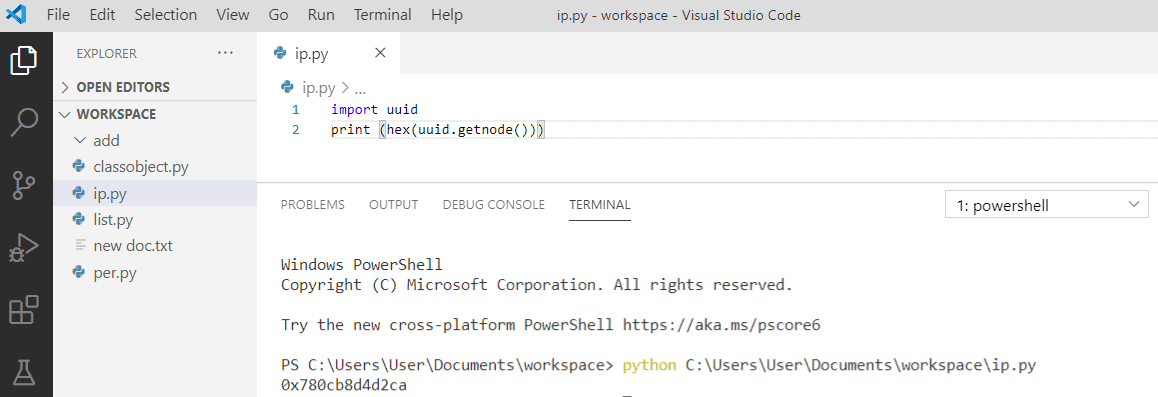 How To Get An IP Address In Python - Python Guides