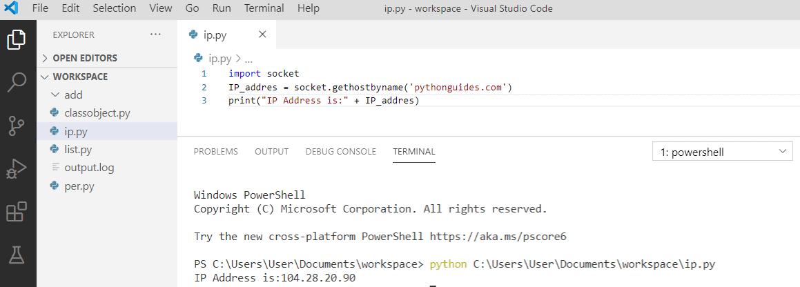 How To Get An IP From A URL In Python? [+5 Examples] - Python Guides