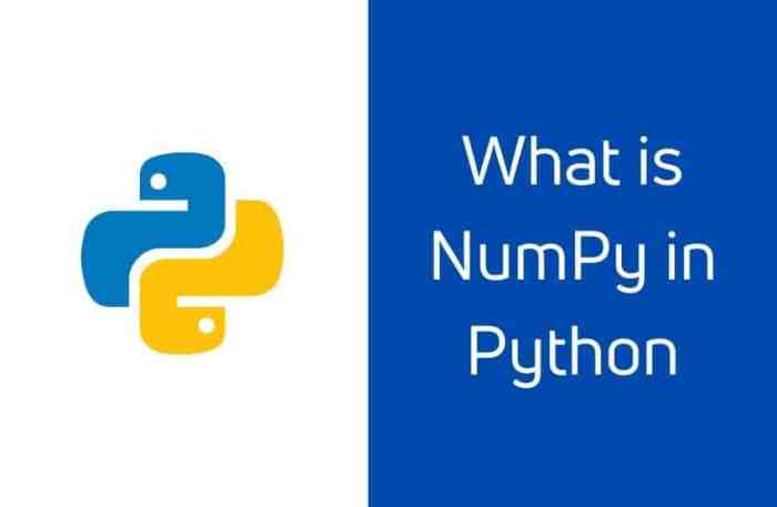 Numpy Logo Numpy Logo