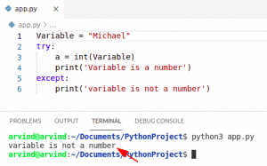 Python Check If A Variable Is A Number - Python Guides