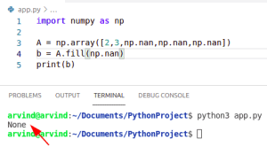Python NumPy Nan - Complete Tutorial - Python Guides