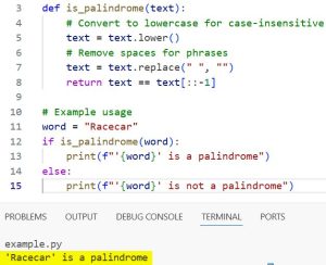 Python Program To Check Whether A String Is A Palindrome Or Not Using Recursion Python Programs - Best Vintage Patterns in Desktop