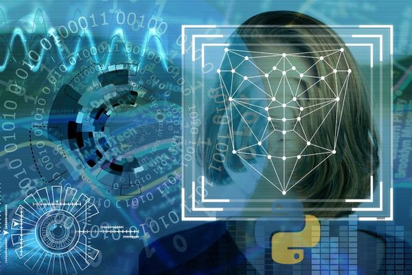 What Is Single Shot Object Detector Pythonista Planet - Best Light Backgrounds in 4K