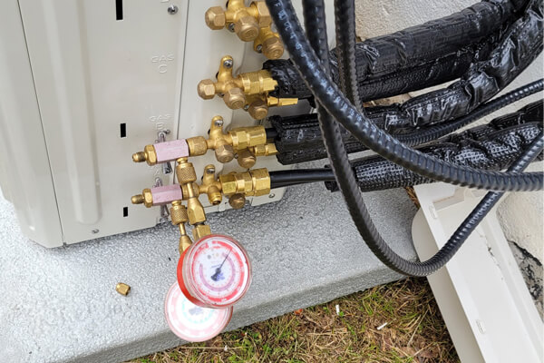 Case Studies Python Line Sets - Premium Vintage Picture Gallery - High Resolution