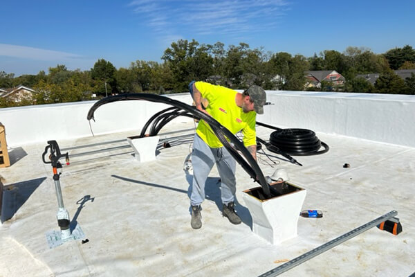 Case Studies Python Line Sets - 4K Vintage Pictures for Desktop