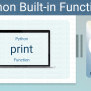 Python Print Function With Examples | PythonPL