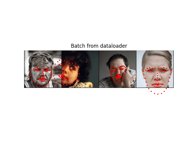 ../_images/sphx_glr_data_loading_tutorial_004.png