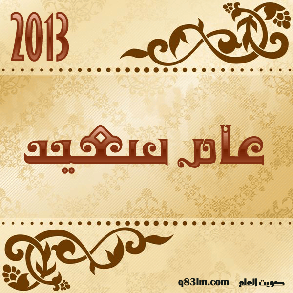 2013 عام سعيد