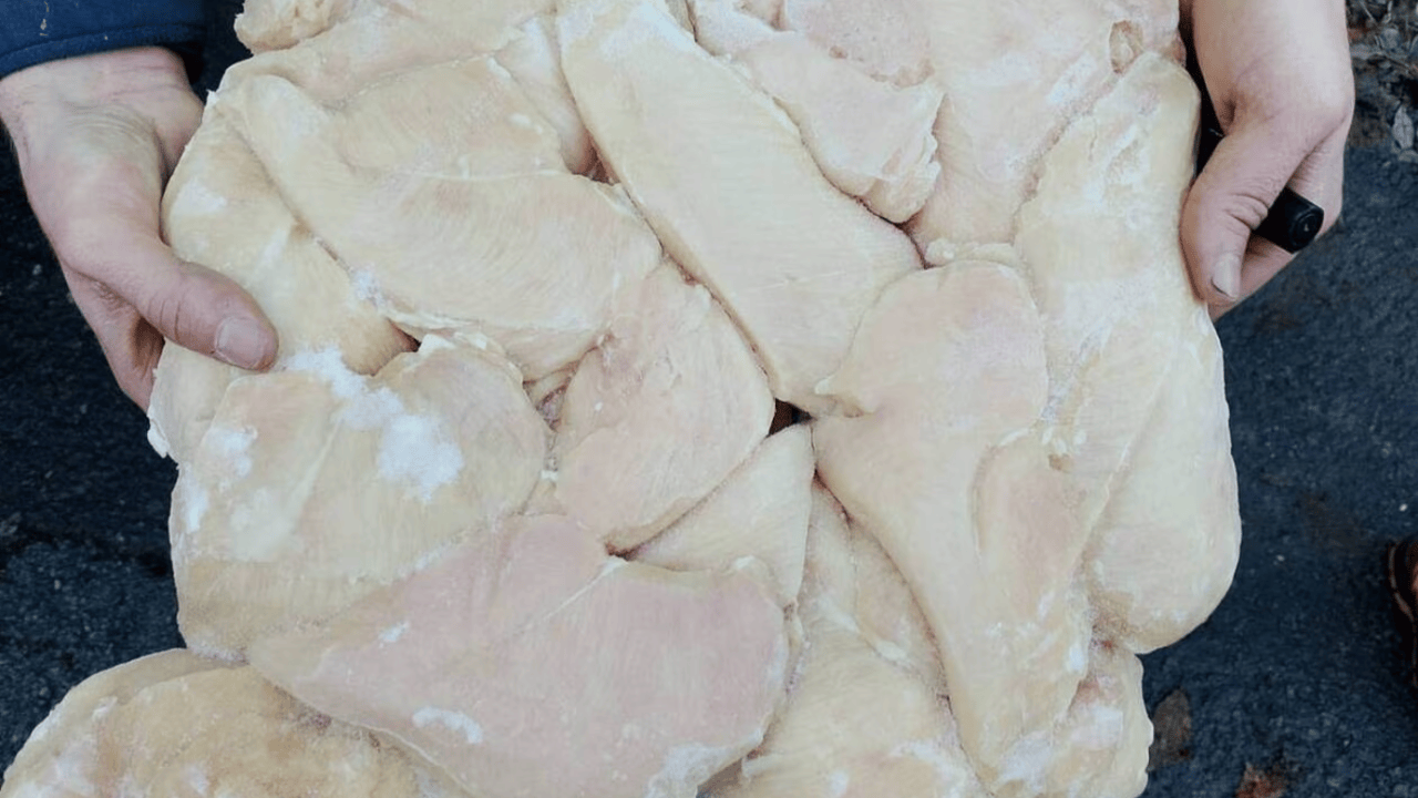 France : De Dol-de-Bretagne à la fraude alimentaire : comment 22 tonnes de volaille ont trompé les Français