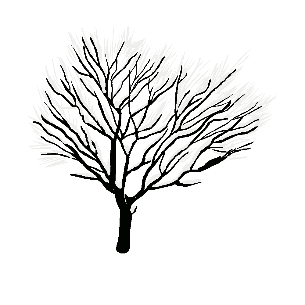 Dessiner les feuilles d'arbres à l'aide d'une technique facile. Dessin Arbre Sans Feuille - Freiraum praxis