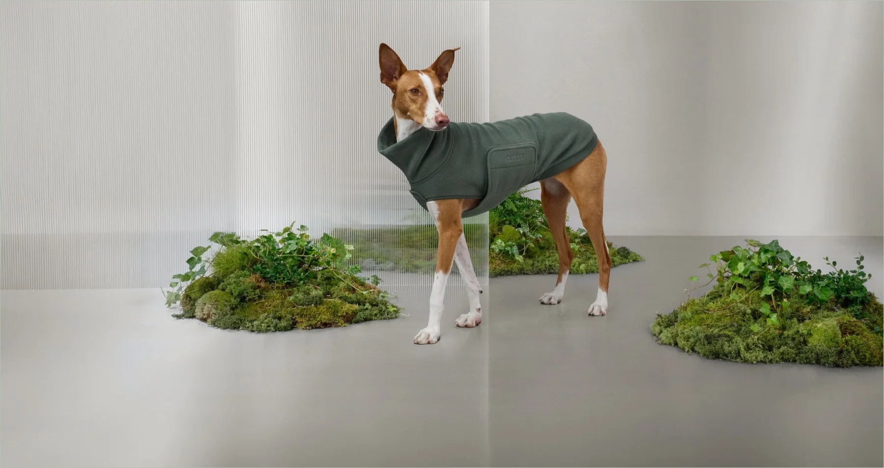CLOUD7 Fall Winter 2026 collection