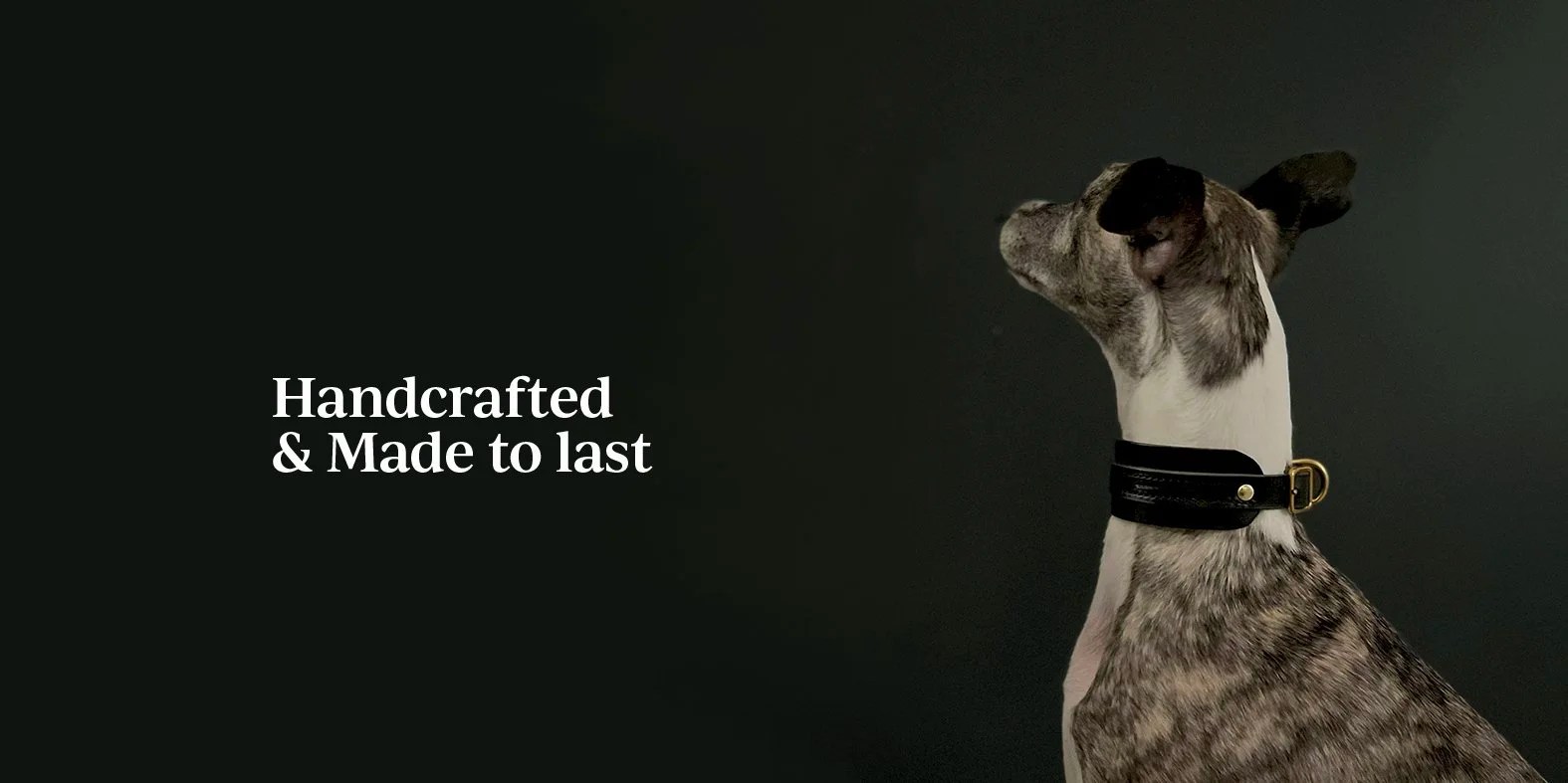 Seldom Found: Pet Luxury Made by One Pair of Hands