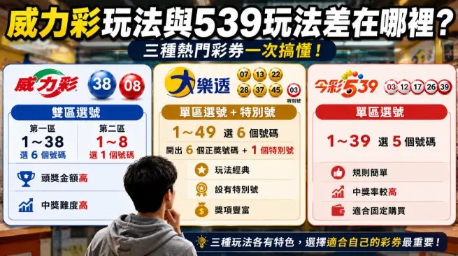 539玩法