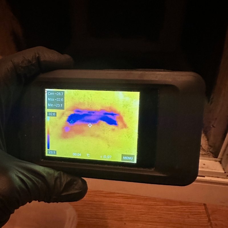 Water damage mitigation service in Florida — IICRC certified