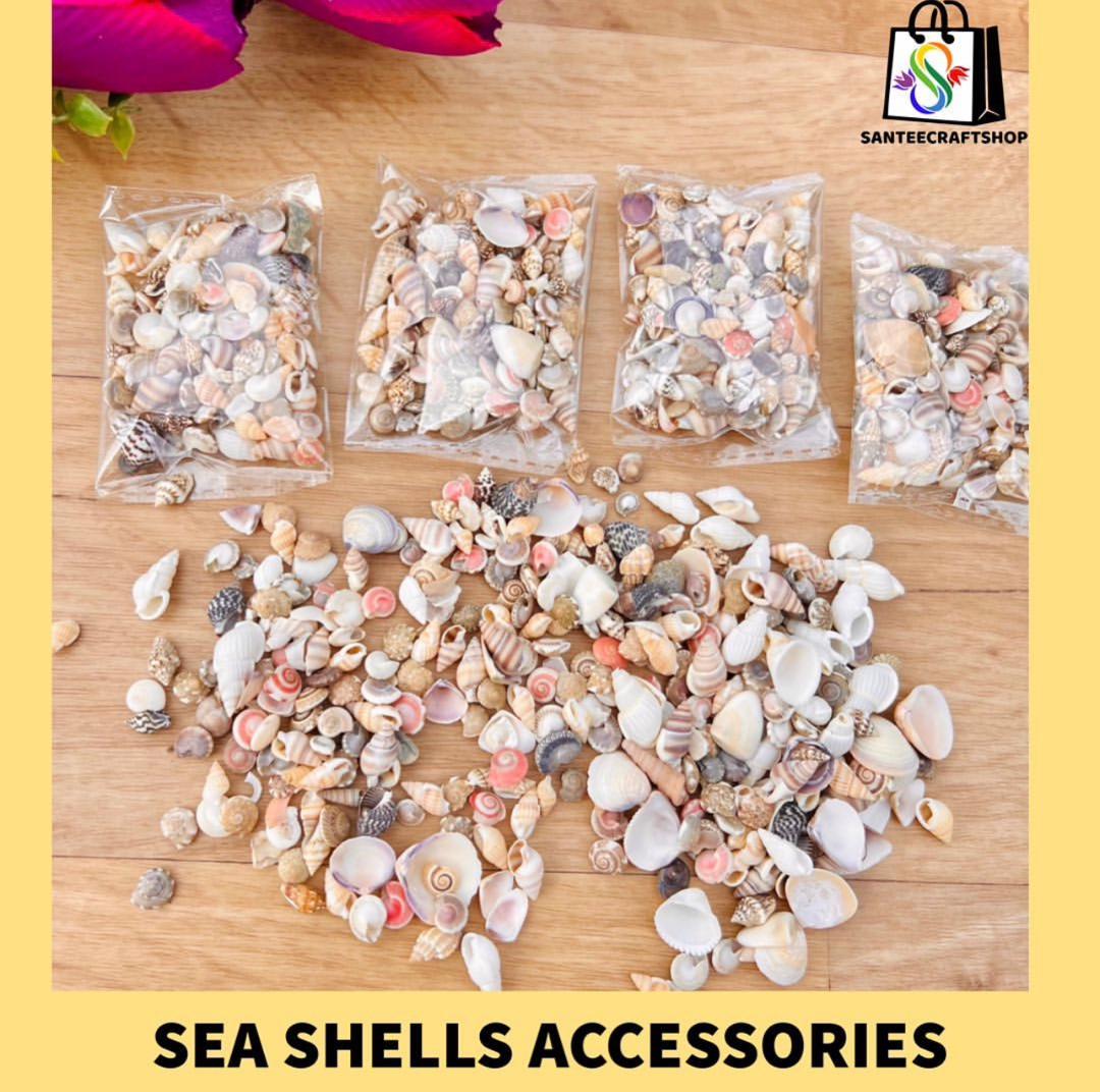 Seashell Accessories