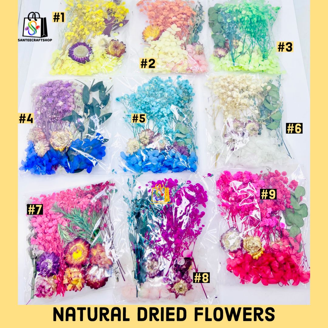 Natural Dried Flowers