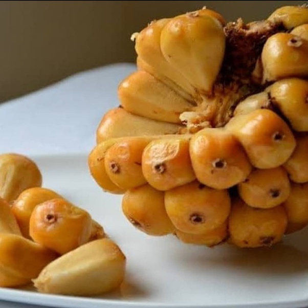 Saja dan juga ubi kayu yang lebih dikenal dengan nama singkong. Apa Saja Nama Buah Buahan Asli Indonesia Jika Diterjemahkan Ke Bahasa Asing Tetap Sama Quora
