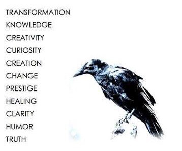 Crow Symbolism Meaning The Crow Spirit Animal Uniguide Crows represent unseen and often avoided side of spirituality which is the shadow.
