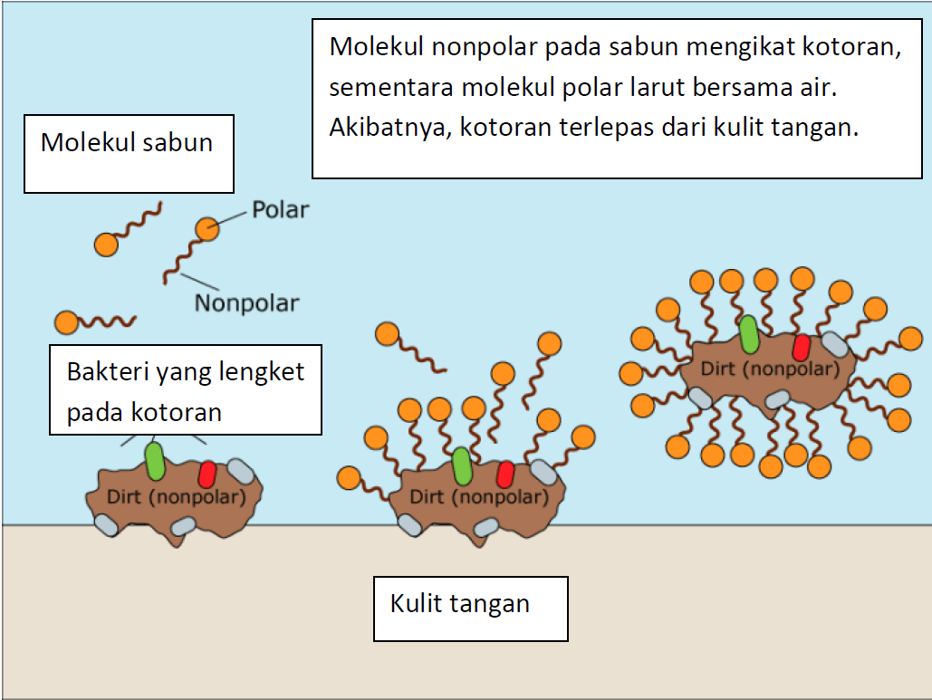 Apa perbedaan antara antibiotik spektrum luas dan spektrum sempit?  Bagaimana kalau ternyata pasien tersebut memiliki resistensi terhadap antibiotik  spektrum sempit? - Quora