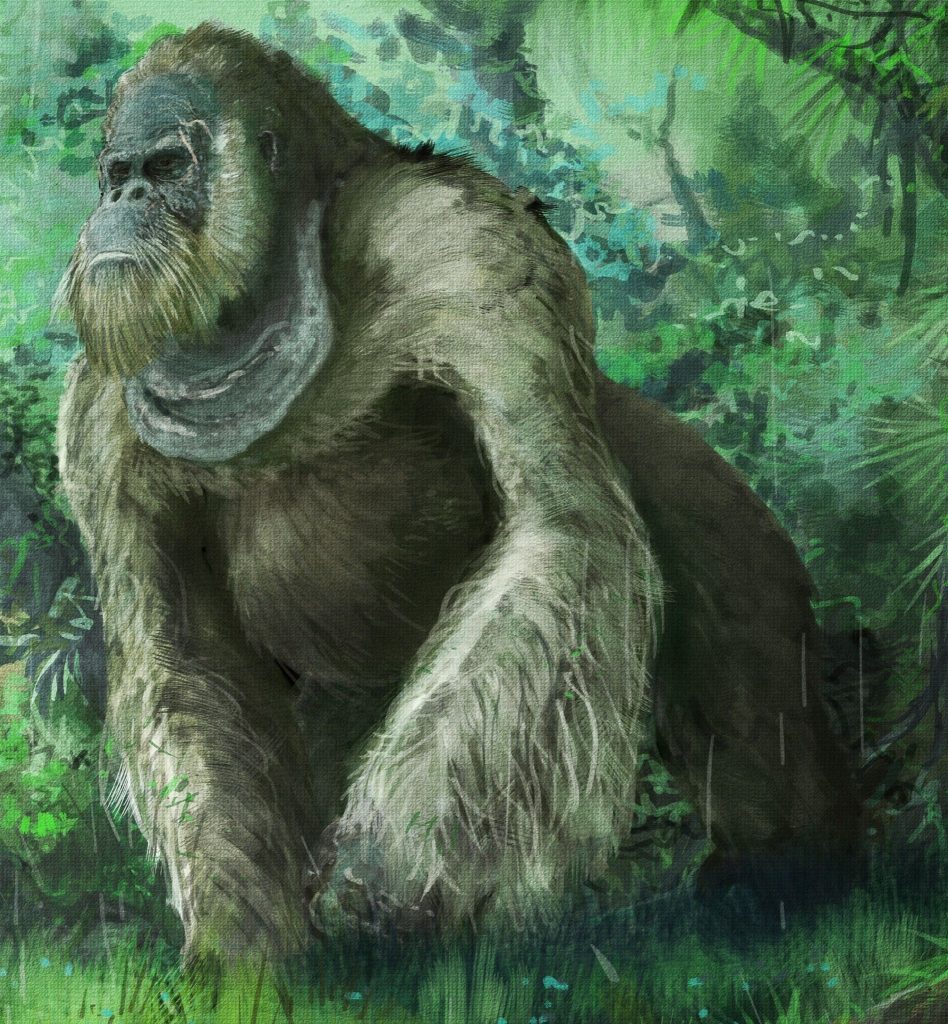 Siapa yang akan menang dalam pertarungan antara Gigantopithecus dan  Allosaurus? - Quora