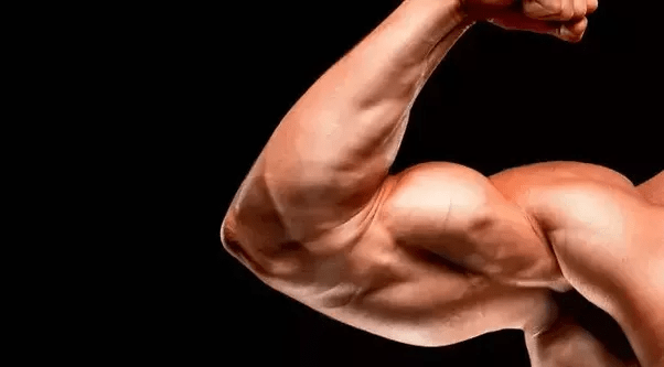 Mar 26, 2020 · arm circles: What are the best ways to build arm muscles? - Quora