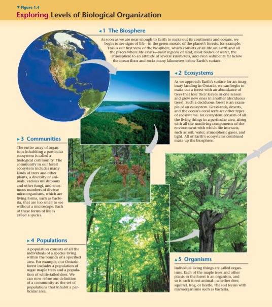Just like schools are organized, ecosystems are also organized into several different levels, and an ecosystem can be studied at any one of the . What Are The Differences And Similarities Of The 5 Levels Of Biological Organization Quora