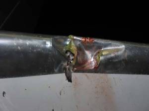 bird engine into plane fighter jet happens gets chicken strikes windshields council research test canada ago
