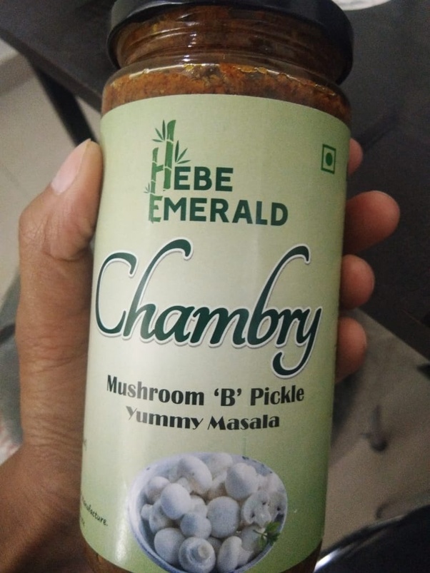 Which is the best pickle for picky eaters? Which is the best Indian pickle brand like home-made one ...