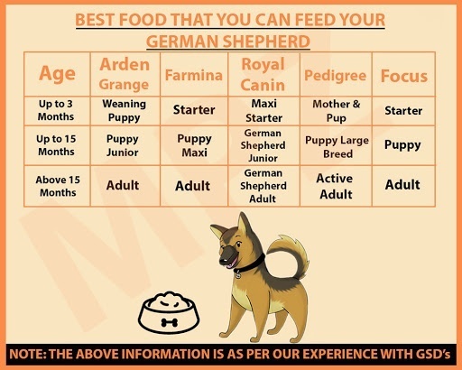 This would mean giving it about 90 to 110 grams in the. What should I feed a 3 weeks old Puppy? - Quora
