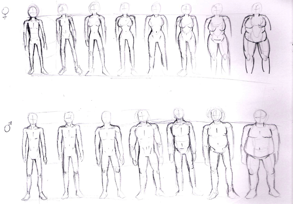 What Are Some Tips For Drawing Anatomy For Beginners Quora
